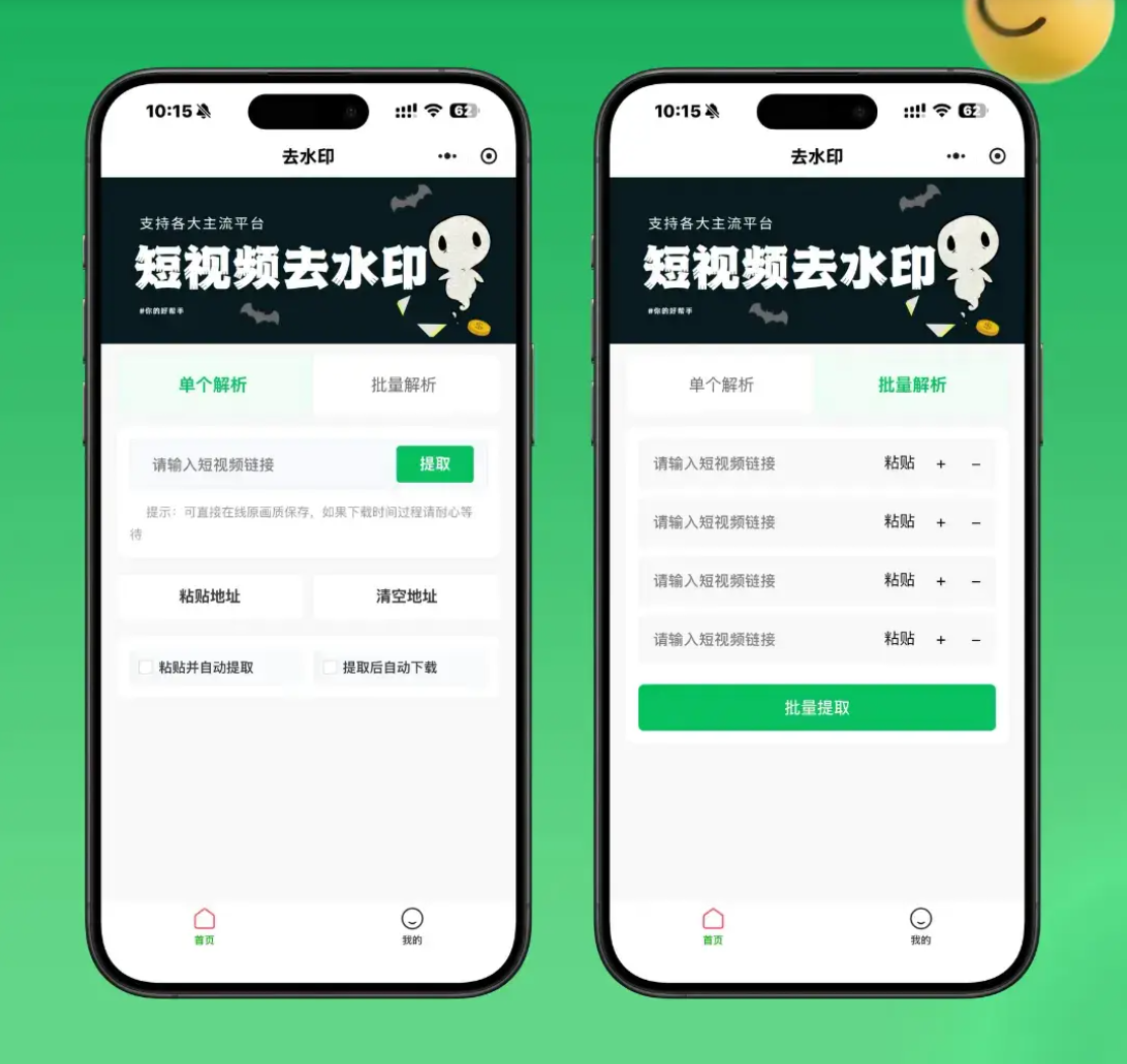 2026最新去水印小程序源码 v1.6.5 带流量主-青鹤工作室