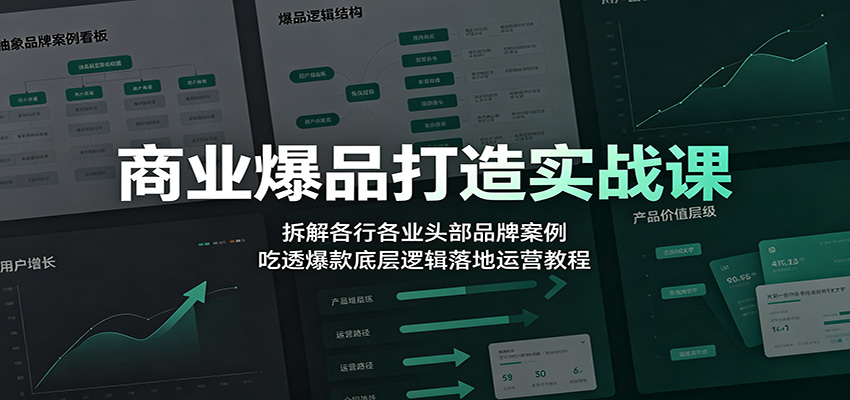 商业爆品打造实战课：拆解各行各业头部品牌案例，吃透爆款底层逻辑落地运营教程-青鹤工作室