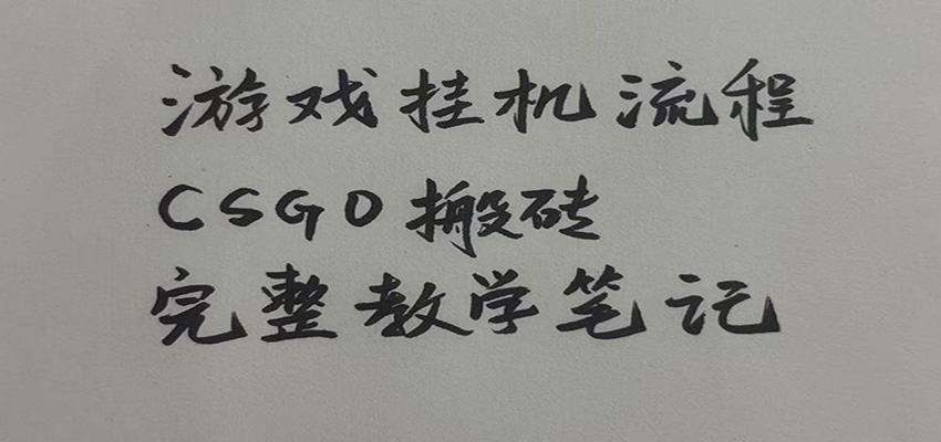 游戏挂机全流程笔记分享,CSGO游戏搬砖,小白看了当天学会见收益-青鹤工作室