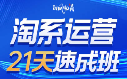 白凤电商·淘系运营21天速成班(更新9月)-青鹤工作室