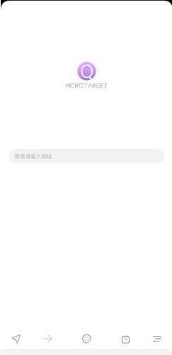 搜索浏览器1.0.10-青鹤工作室