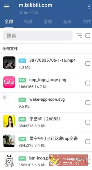GetThemAll全能下载器3.6.5-青鹤工作室